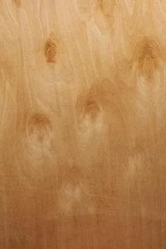 Wood texture background with high resolution. Natural wood floor texture with 写真素材