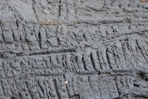 Wood texture background for inserting text Stock Photos