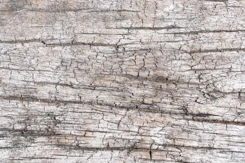 Wood texture background for inserting text Foto stock