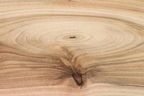 Wood texture background with natural pattern, close up view Stock Photos