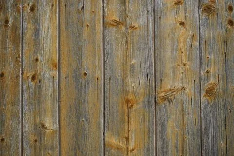 Wood texture background, natural pattern, wood plank. Stock Photos