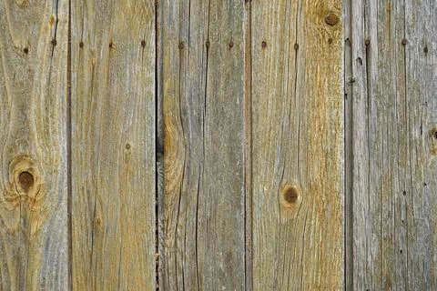 Wood texture background, natural pattern. Foto stock