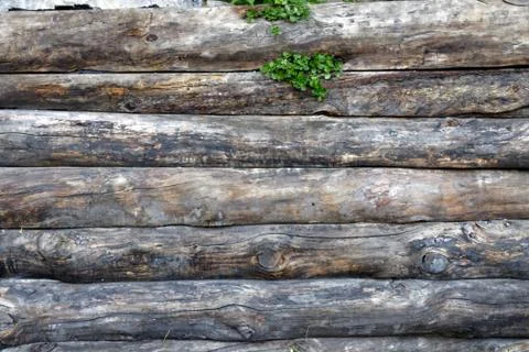 Wood texture background of old logs Stock Photos