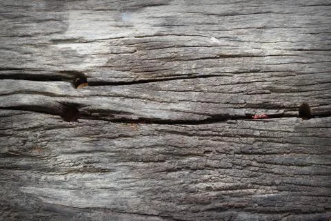 Wood texture. background old panels Foto stock