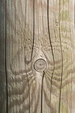 Wood texture. background old panels Stock Photos
