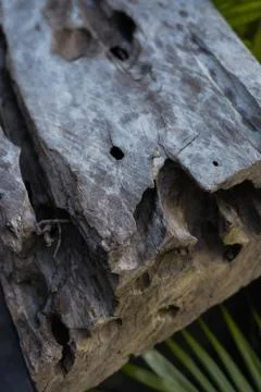 Wood texture background pattern close up Stock Photos