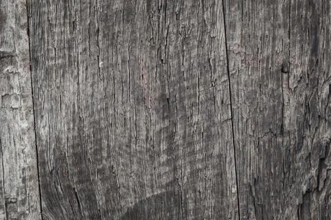 Wood texture background Stock Photos