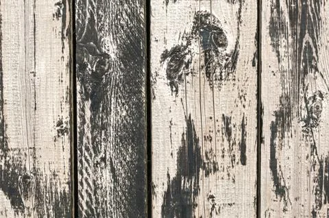 Wood texture, Background Stock Photos