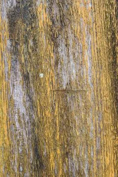 Wood texture background Stock Photos