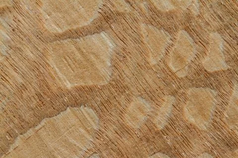 Wood texture background Stock Photos