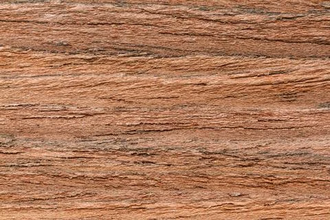 Wood texture background Фото