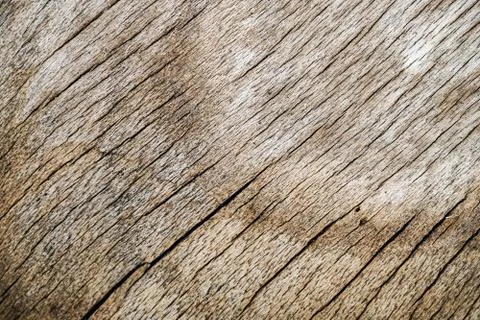 Wood Texture background. 스톡 사진