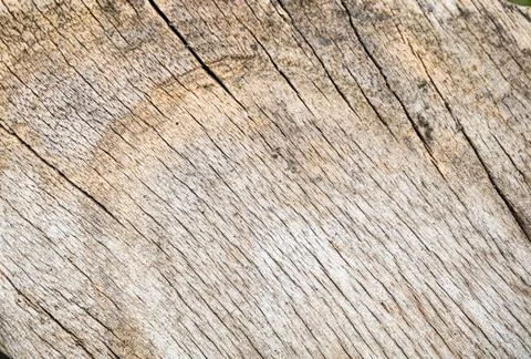 Wood Texture background. Foto stock