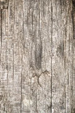 Wood Texture background. 스톡 사진