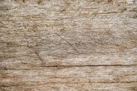 Wood Texture background. Foto stock