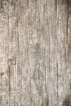 Wood Texture background. Stock Photos