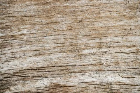 Wood Texture background. Foto stock