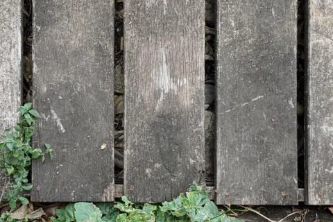 Wood Texture background. Stock Photos