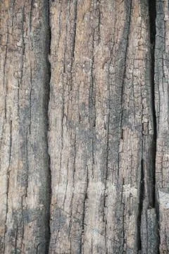 Wood Texture background. 스톡 사진