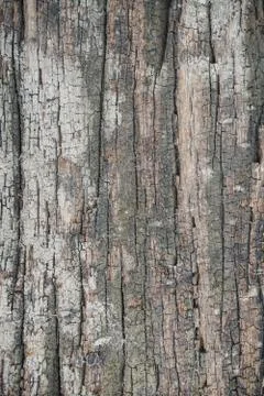 Wood Texture background. Stock Photos