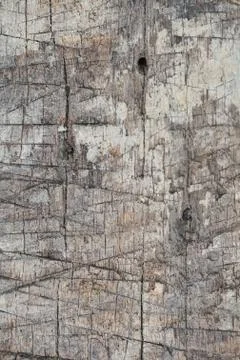 Wood Texture background. Stock Photos