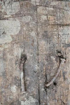 Wood Texture background. Stock Photos