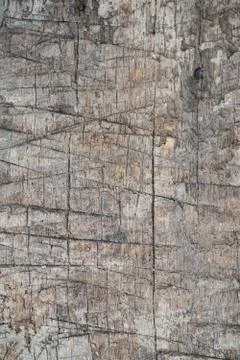 Wood Texture background. Foto stock