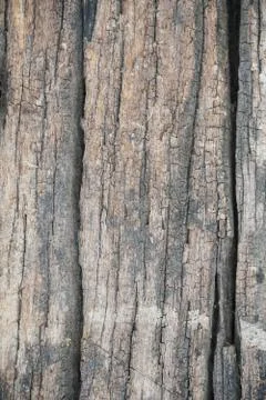 Wood Texture background. Stock Photos