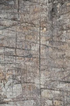 Wood Texture background. Fotos de archivo