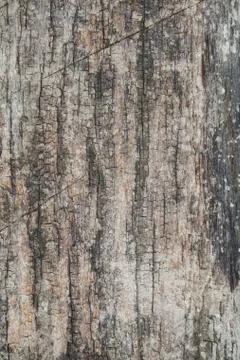 Wood Texture background. Stock Photos