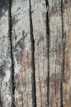 Wood Texture background. Stock Photos