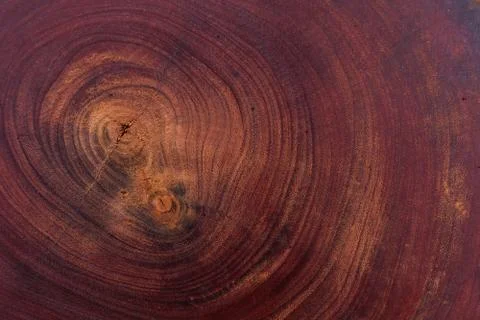 Wood texture background 스톡 사진