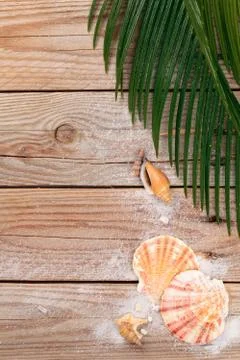 Wood Texture Background. Stock Photos