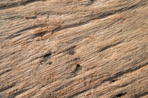 Wood texture background. Stock Photos