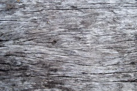 Wood texture background. Stock Photos