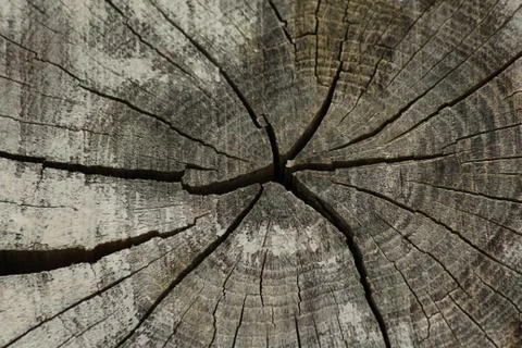 Wood texture background Stock Photos