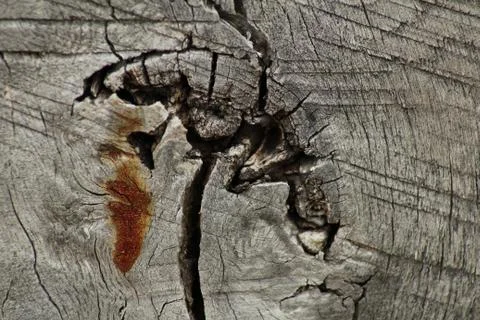 Wood texture background Stock Photos