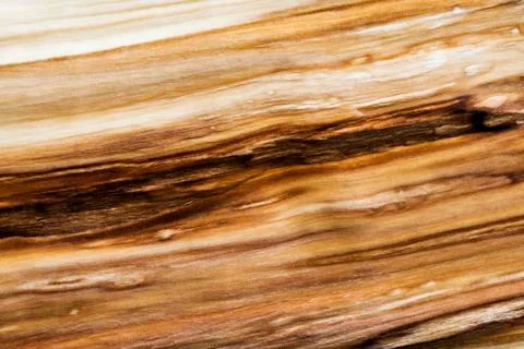 Wood texture (background) Stock Photos