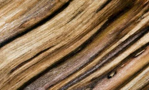 Wood texture (background) Foto stock