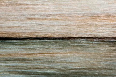 Wood texture (background) Stock Photos