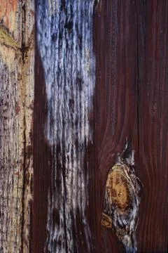 Wood texture for a background Photos