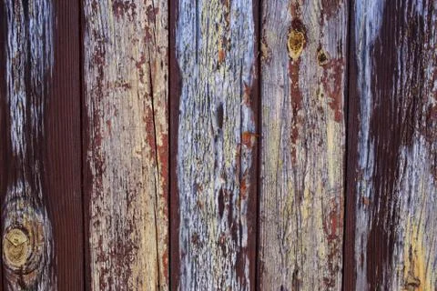 Wood texture for a background 库存照片