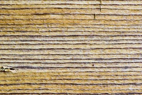 Wood texture background Stock Photos