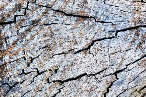 Wood texture background Stockfoto's