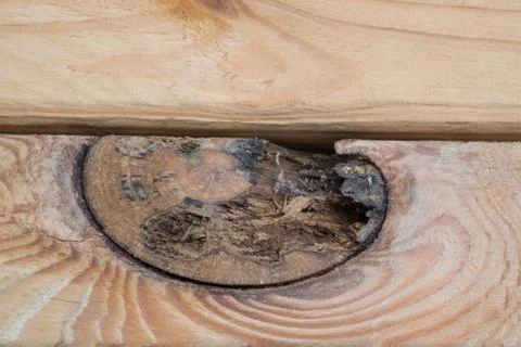 Wood Texture Background. Stock Photos