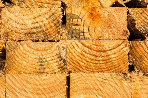 Wood texture background. Stock Photos