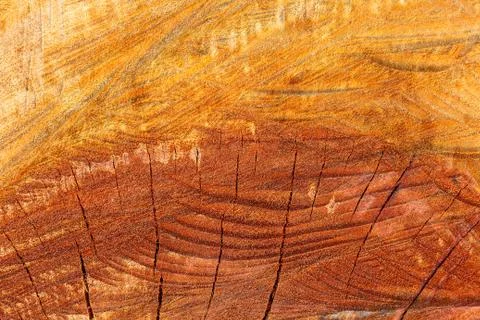 Wood  texture background. Stock Photos