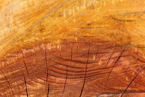 Wood  texture background. Stock Photos