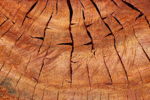 Wood  texture background. Stock Photos