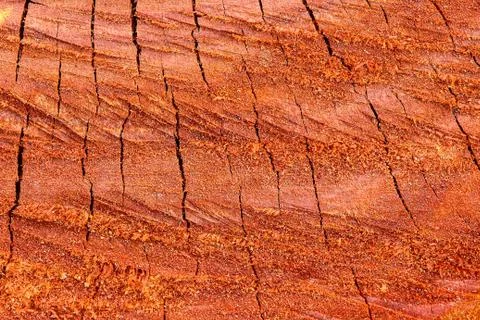 Wood  texture background. Stock Photos